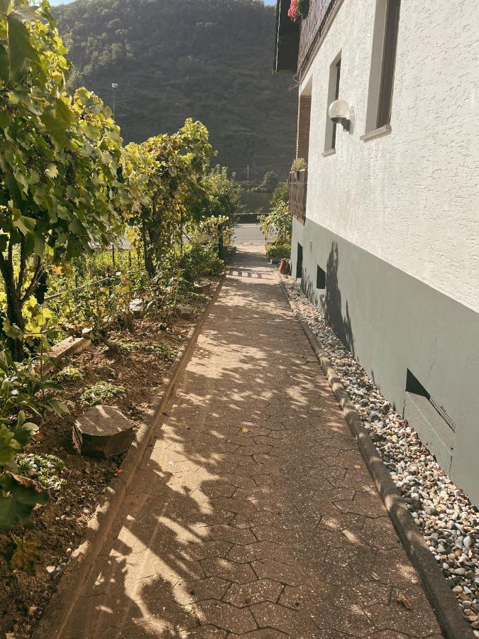 Ferienwohnung Moselflair Mit Direktem Blick Auf Die Mosel Und Weinberge Oberfell Extérieur photo